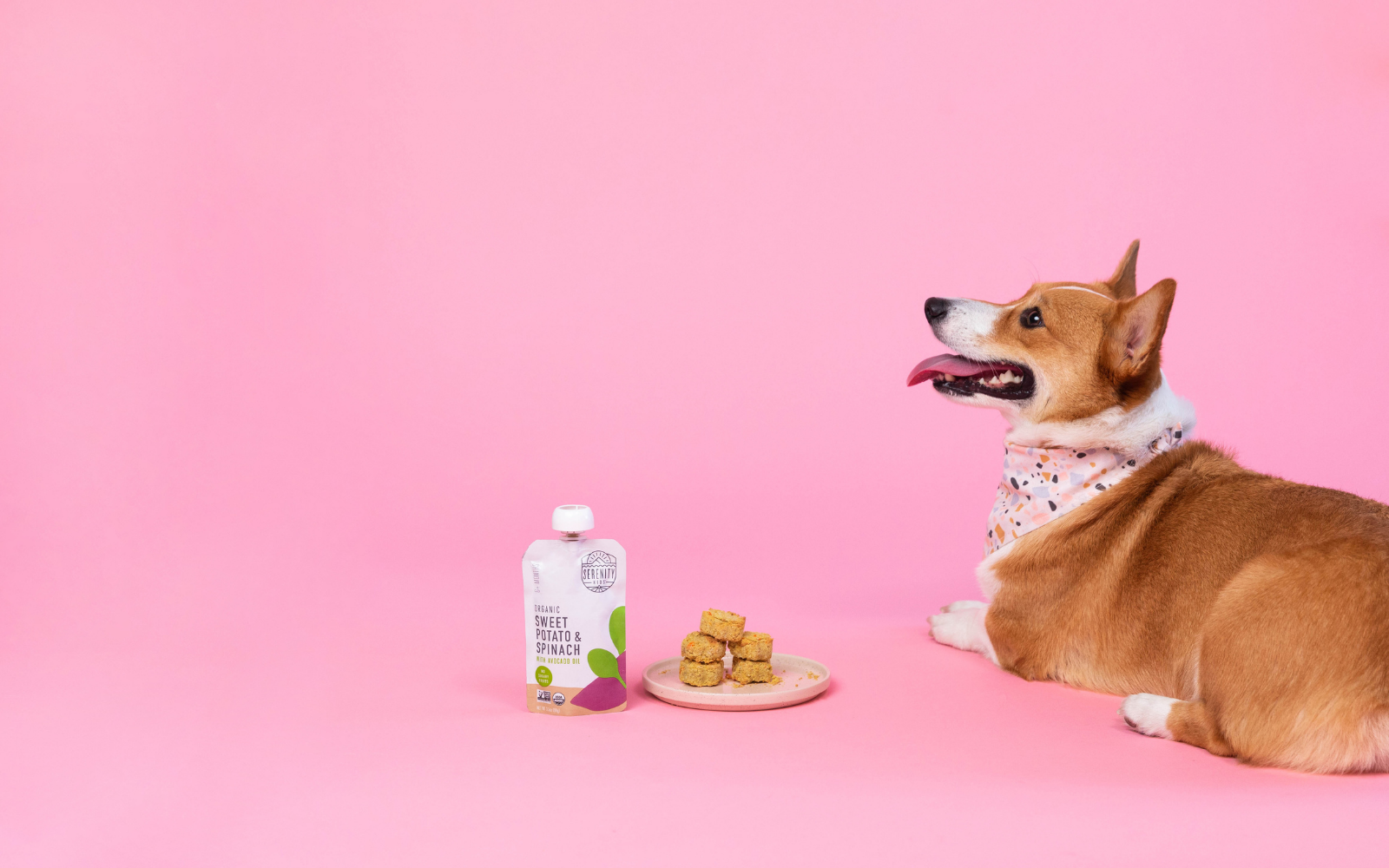 For your Fur Babies: Homemade Dog Treat Recipe