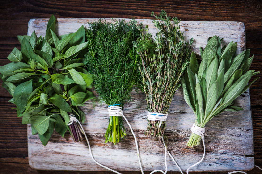 Can Babies Have Herbs & Spices?