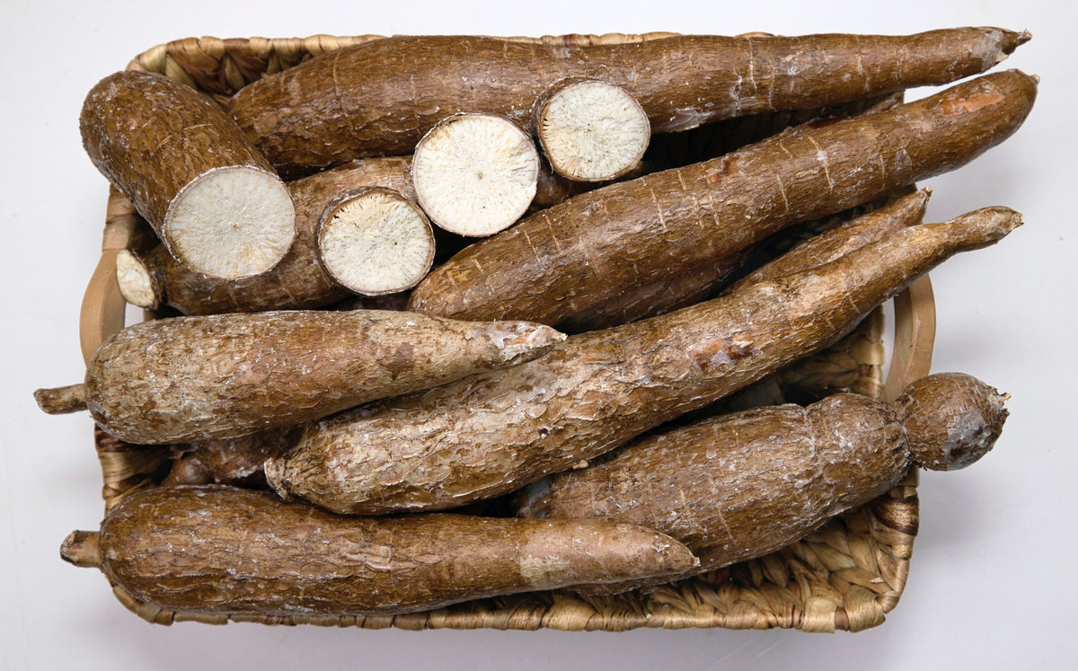 Yacon Root: Nutrition Facts and Health Benefits – Healthy Blog