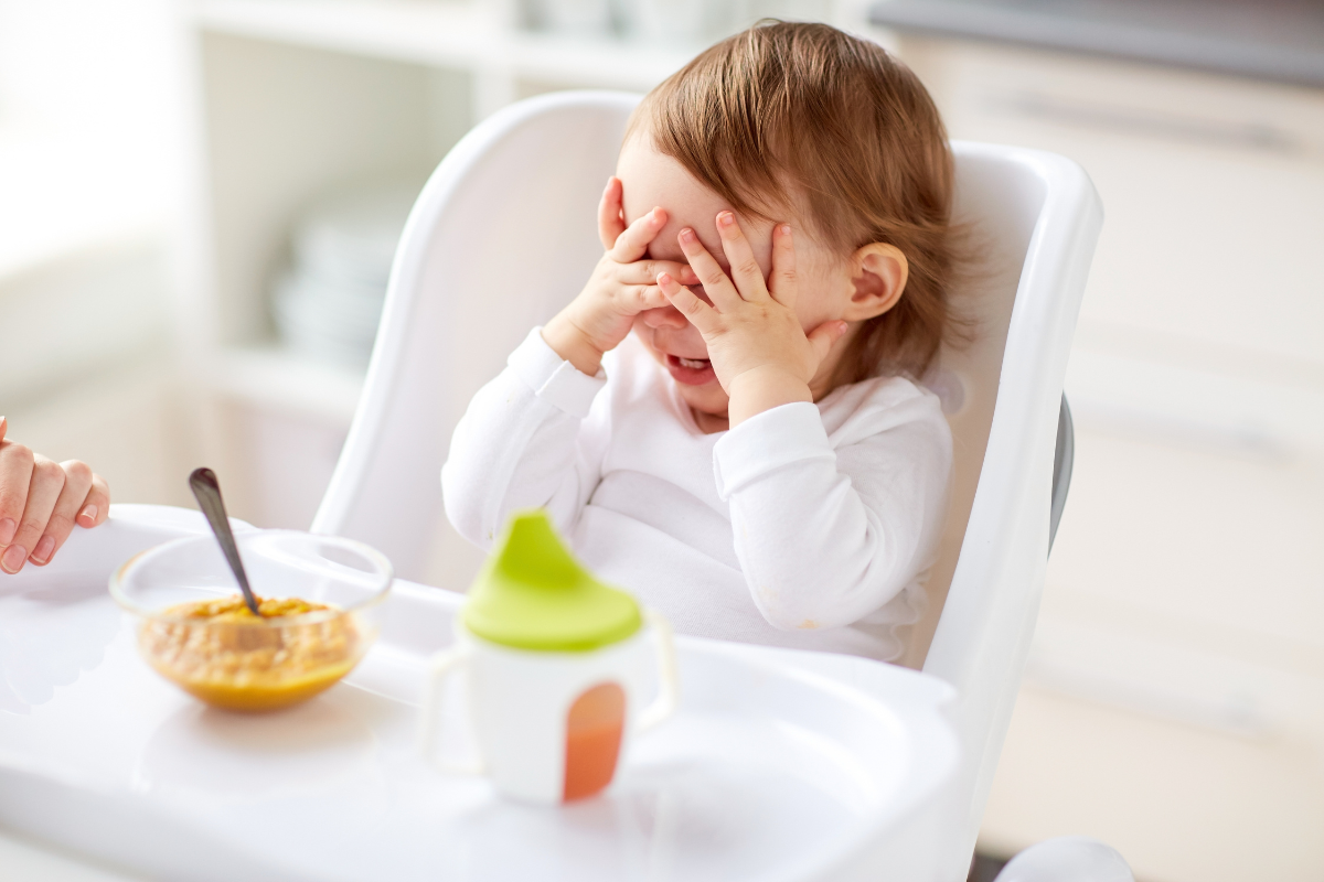 My Toddler Won't Eat Meat, Help! Tips for a Meat Strike