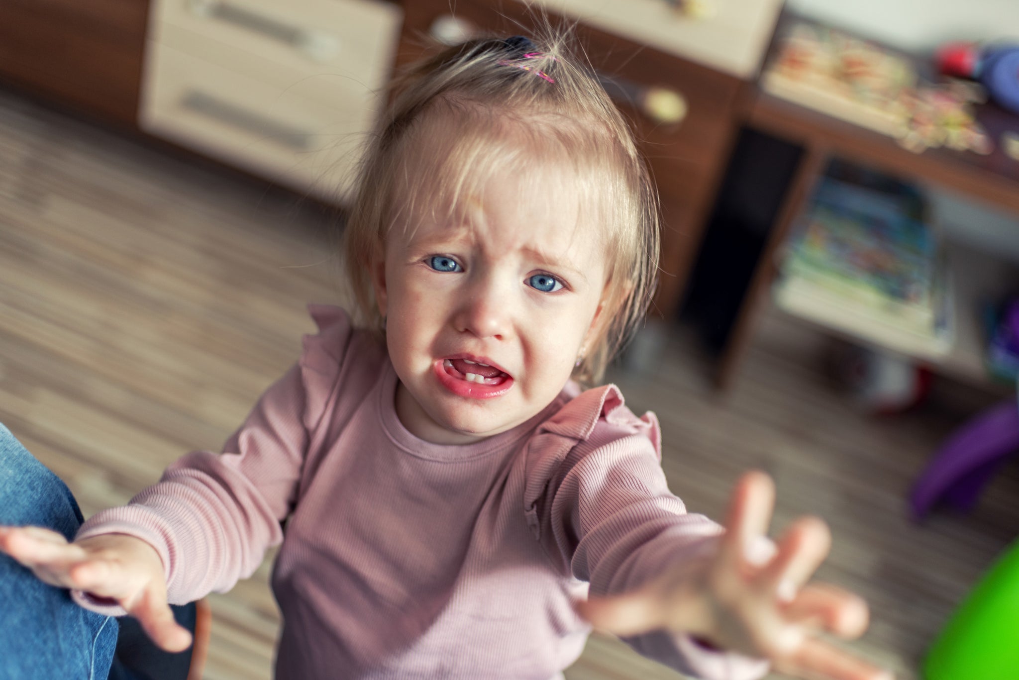 Toddler Meal Ideas: What to Do When Your Toddler Refuses to Eat