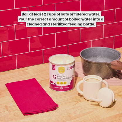 Toddler Formula with A2 Whole Milk 21oz