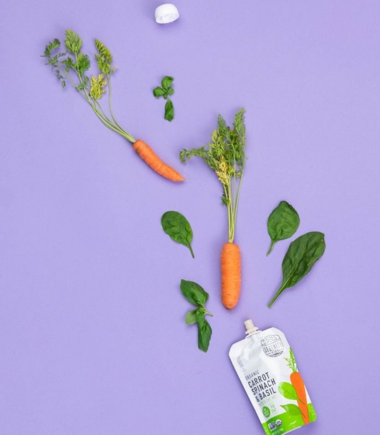Organic Carrot, Spinach & Basil Baby Food Pouch - Carrots