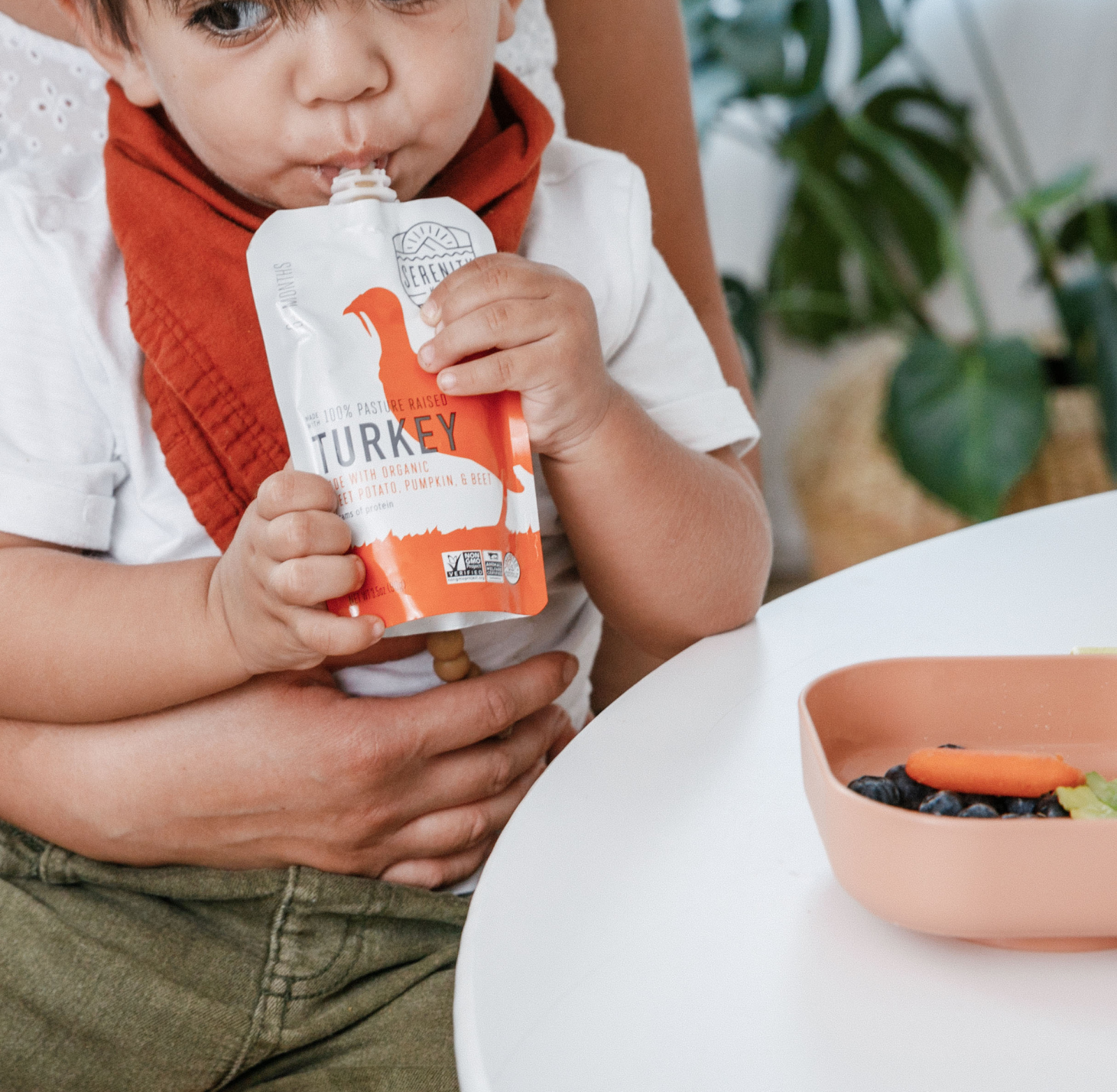 No food processor needed and no artificial flavors - Serenity Kids